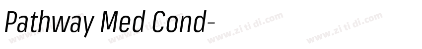 Pathway Med Cond字体转换 Pathway Med Cond字体转换